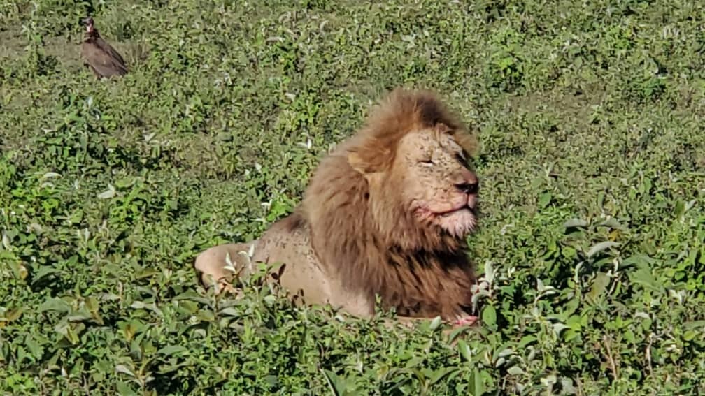 Serengeti National Park