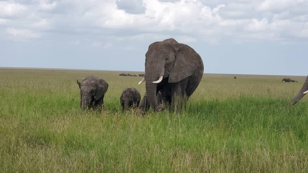 Lake Manyara