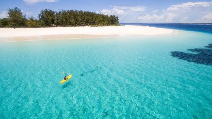 Contact Tangawizi Tour and Travel